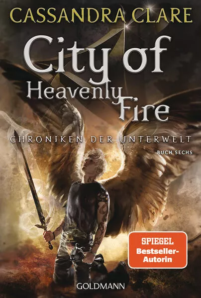 Cover: City of Heavenly Fire